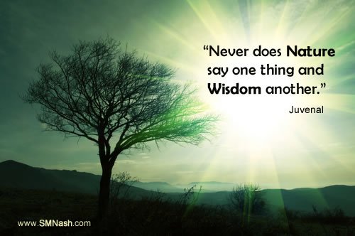 Read a summary of this post? Quote about wisdom and nature by Juvenal | Image of greem tree and green sky