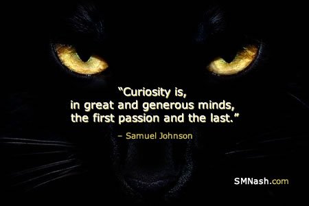 Curiosity inspirational quote | black cat and green eyes image